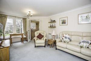 Lounge- click for photo gallery